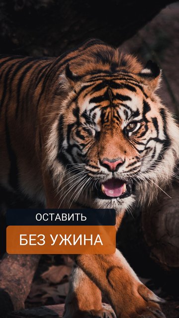 Оставить без ужина. Часть 6