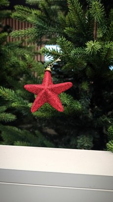 Старт практикума самоценности