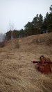 Поля битв