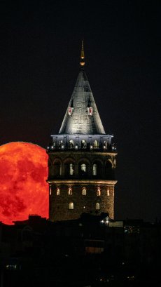 24 Рыцаря Судьбы