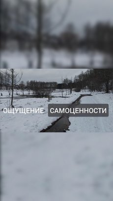 Описание практикума «Самоценность»