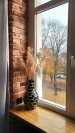 Если бы Шурик был Султан