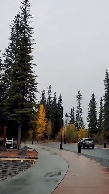 Деньги и знания