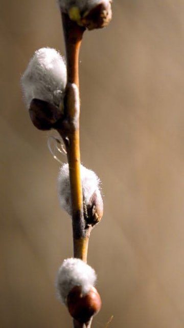 Замедление времени